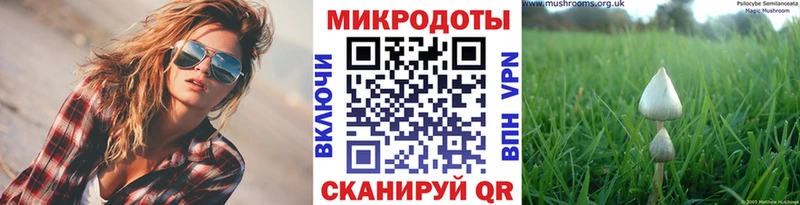 Галлюциногенные грибы Psilocybine cubensis Купить Кукмор