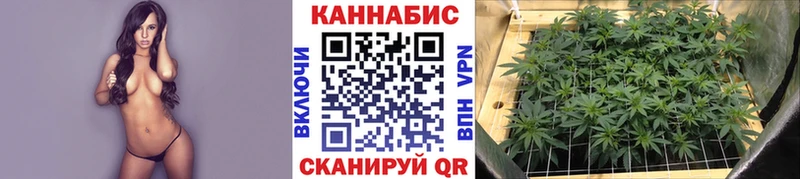 Купить  Кукмор  Шишки марихуана White Widow 